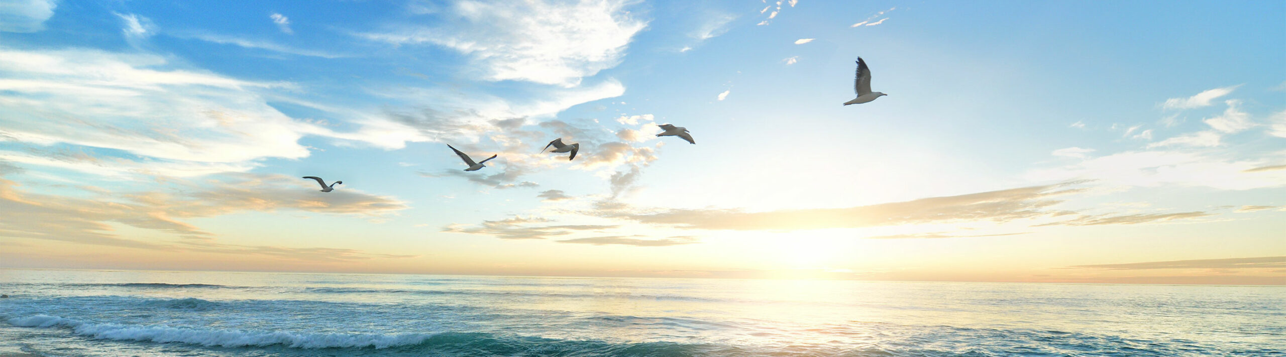 nutrition transformation by Heather Gilliam