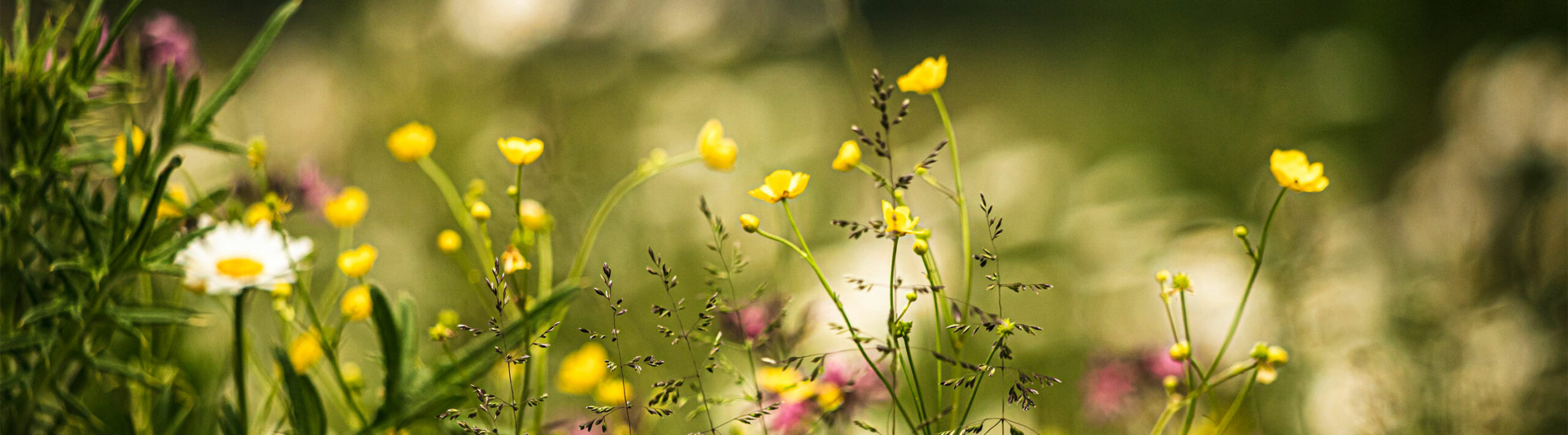 Contact Heather Gilliam