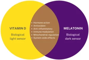 Is Melatonin the “Next Vitamin D”?: A Review of Emerging Science, Clinical Uses, Safety, and Dietary Supplements